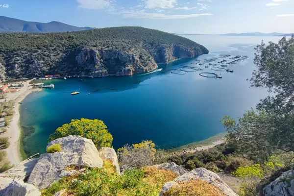 Villa 215 m² for sale, plot 3600 m² Ermioni Municipal Unit, Greece