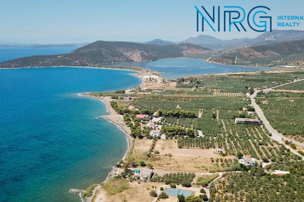 Sale of building land 3,600 m²