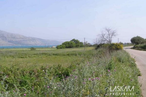 Recently Listed Properties